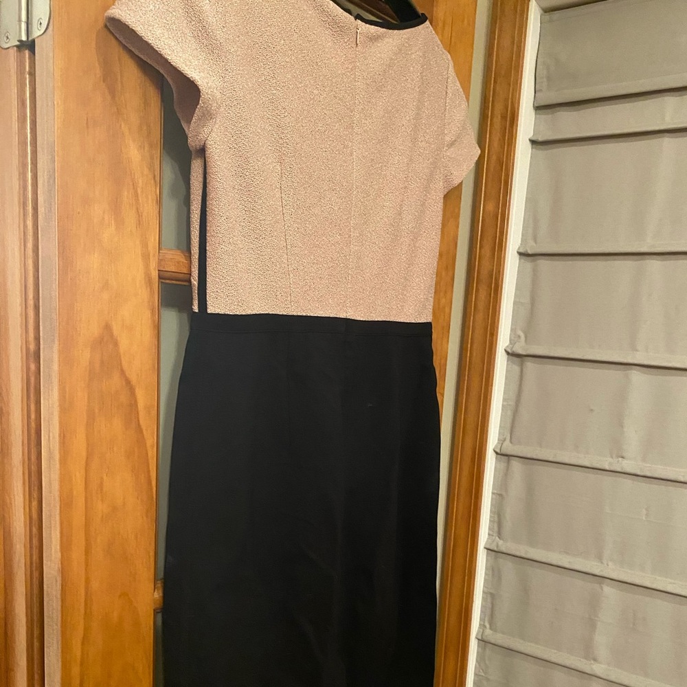 Ann Taylor two tone dress.